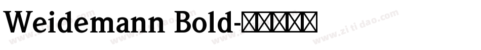 Weidemann Bold字体转换